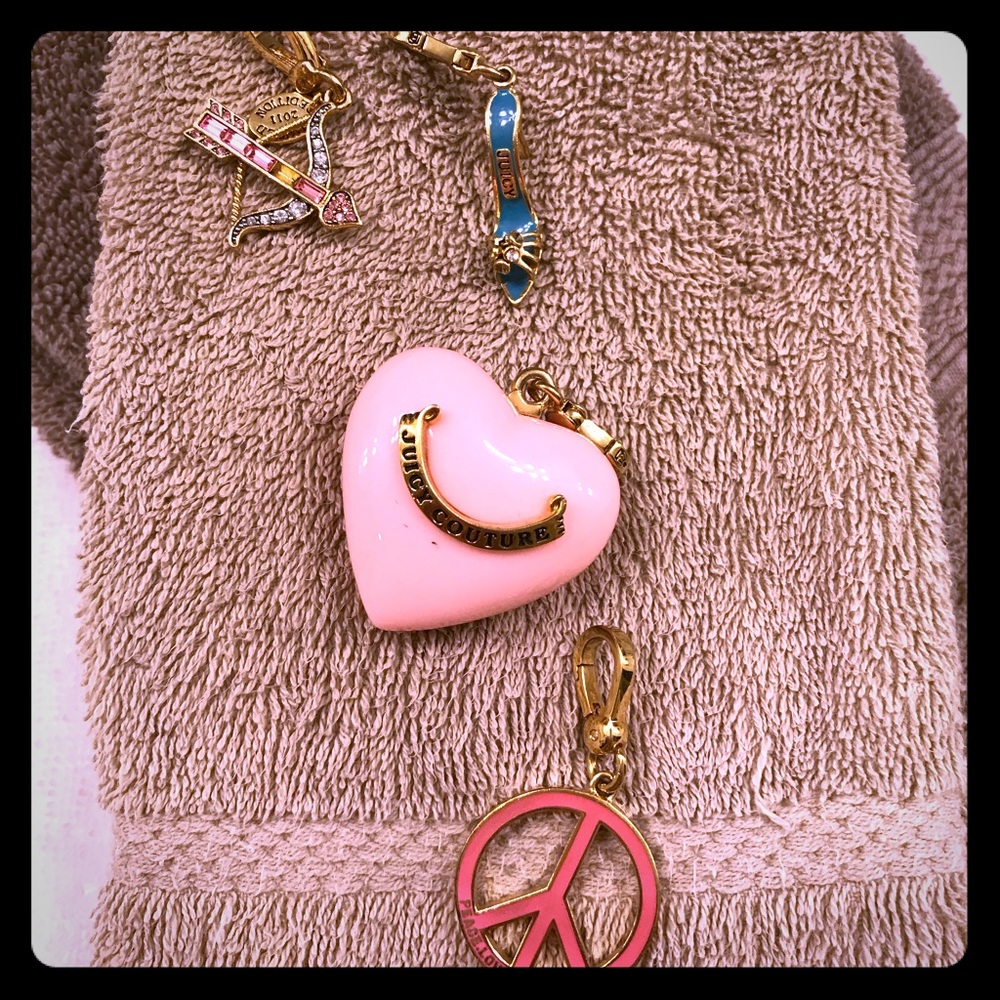 Juicy charms, set of 4